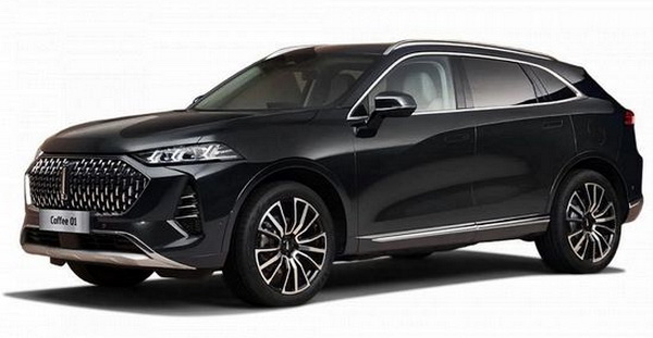 Текстильные коврики для Wey 05 (Coffee 01) (2023->)